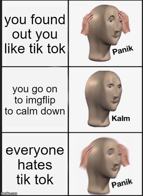 you hate loving it | you found out you like tik tok; you go on to imgflip to calm down; everyone hates tik tok | image tagged in memes,panik kalm panik | made w/ Imgflip meme maker