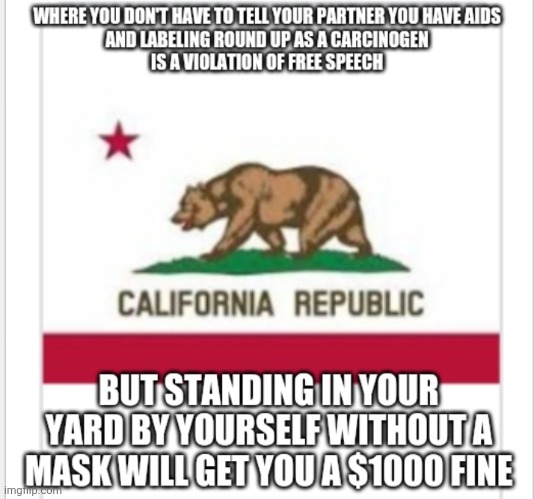 California | image tagged in california | made w/ Imgflip meme maker