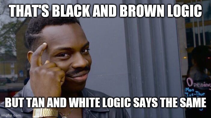 Roll Safe Think About It Meme | THAT'S BLACK AND BROWN LOGIC BUT TAN AND WHITE LOGIC SAYS THE SAME | image tagged in memes,roll safe think about it | made w/ Imgflip meme maker