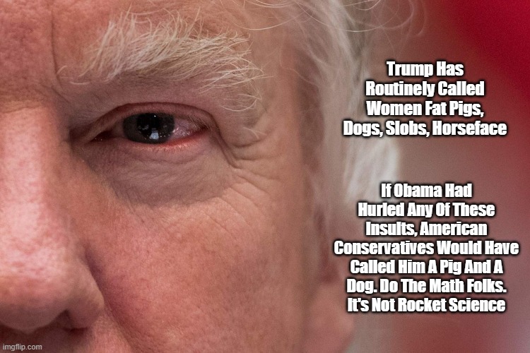  Trump Has Routinely Called Women Fat Pigs, Dogs, Slobs, Horseface; If Obama Had Hurled Any Of These Insults, American Conservatives Would Have Called Him A Pig And A Dog. Do The Math Folks. It's Not Rocket Science | made w/ Imgflip meme maker