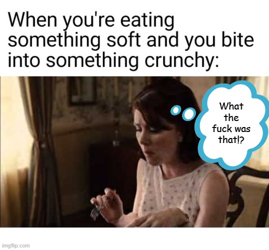 What the fuck was that!? COVELL BELLAMY III | image tagged in the help eating something soft biting something hard | made w/ Imgflip meme maker