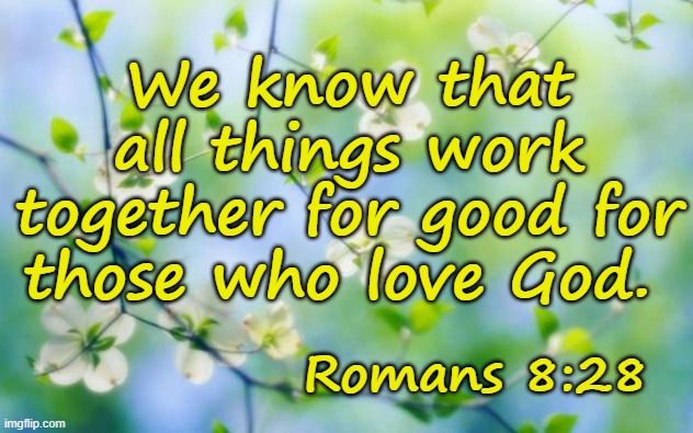 PROMISE | We know that all things work together for good for those who love God. Romans 8:28 | image tagged in flowers,bible verse | made w/ Imgflip meme maker