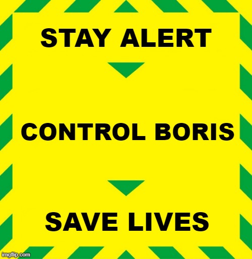 Stay Alert | STAY ALERT; CONTROL BORIS; SAVE LIVES | image tagged in stay alert | made w/ Imgflip meme maker