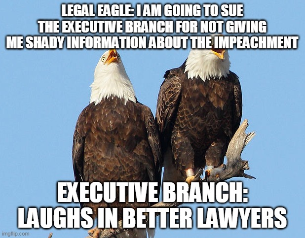 Laughs in American | LEGAL EAGLE: I AM GOING TO SUE THE EXECUTIVE BRANCH FOR NOT GIVING ME SHADY INFORMATION ABOUT THE IMPEACHMENT; EXECUTIVE BRANCH: LAUGHS IN BETTER LAWYERS | image tagged in laughs in american | made w/ Imgflip meme maker