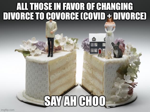 Covorce | ALL THOSE IN FAVOR OF CHANGING DIVORCE TO COVORCE (COVID + DIVORCE); SAY AH CHOO | image tagged in divorce,covid-19 | made w/ Imgflip meme maker