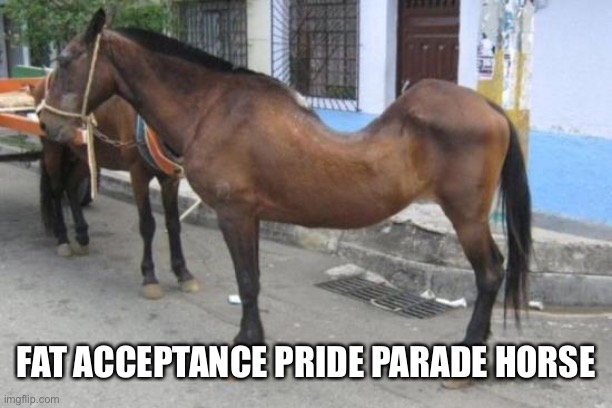 Yo Mama’s Horse | FAT ACCEPTANCE PRIDE PARADE HORSE | image tagged in horse,back,fat,yo mama | made w/ Imgflip meme maker