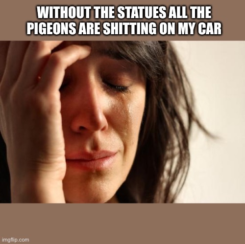 Damn Vandals | WITHOUT THE STATUES ALL THE PIGEONS ARE SHITTING ON MY CAR | image tagged in memes,first world problems | made w/ Imgflip meme maker