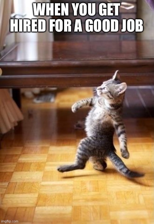 Cool Cat Stroll | WHEN YOU GET HIRED FOR A GOOD JOB | image tagged in memes,cool cat stroll | made w/ Imgflip meme maker