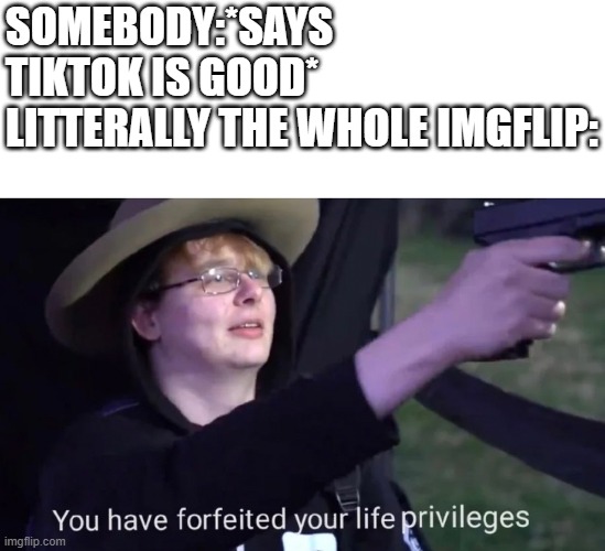 you have forfeited life privileges | SOMEBODY:*SAYS TIKTOK IS GOOD*
LITTERALLY THE WHOLE IMGFLIP: | image tagged in you have forfeited life privileges | made w/ Imgflip meme maker