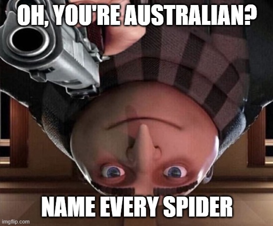 Gru Gun | OH, YOU'RE AUSTRALIAN? NAME EVERY SPIDER | image tagged in gru gun | made w/ Imgflip meme maker