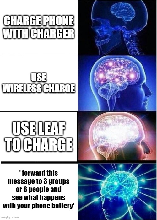 Charger levels | CHARGE PHONE WITH CHARGER; USE WIRELESS CHARGE; USE LEAF TO CHARGE; ' forward this message to 3 groups or 6 people and see what happens with your phone battery' | image tagged in memes,expanding brain,phone | made w/ Imgflip meme maker