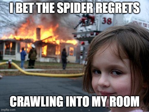 Disaster Girl | I BET THE SPIDER REGRETS; CRAWLING INTO MY ROOM | image tagged in memes,disaster girl | made w/ Imgflip meme maker