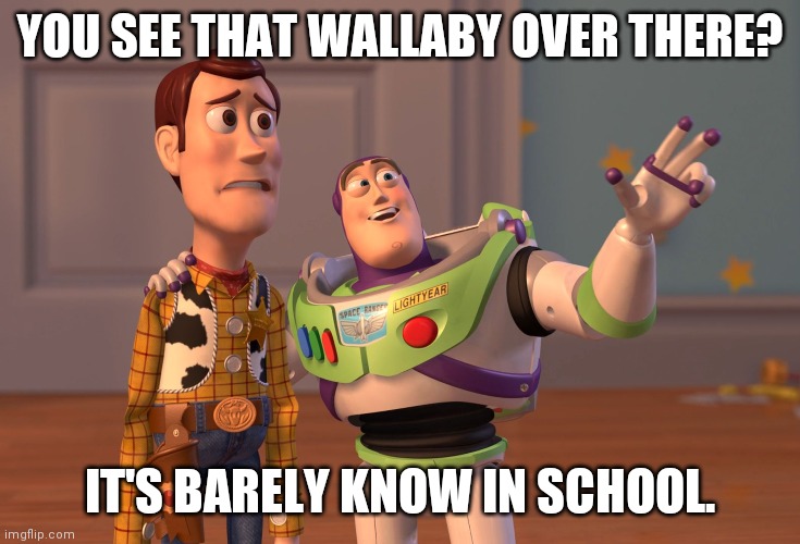 Upvote if corona 19 stink | YOU SEE THAT WALLABY OVER THERE? IT'S BARELY KNOW IN SCHOOL. | image tagged in memes,x x everywhere | made w/ Imgflip meme maker