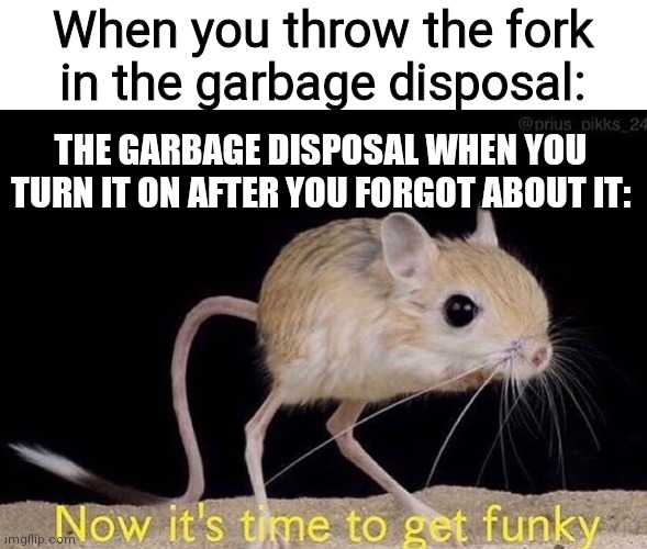 Let's throw the fork in the garbage disposal!!!! | When you throw the fork in the garbage disposal:; THE GARBAGE DISPOSAL WHEN YOU TURN IT ON AFTER YOU FORGOT ABOUT IT: | image tagged in now its time to get funky | made w/ Imgflip meme maker
