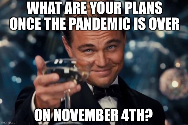 Pandemocrats gonna Pandem | WHAT ARE YOUR PLANS ONCE THE PANDEMIC IS OVER; ON NOVEMBER 4TH? | image tagged in covidiots,election,hoax | made w/ Imgflip meme maker