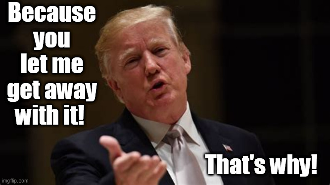 Because you let me get away with it! That's why! | image tagged in donald trump | made w/ Imgflip meme maker