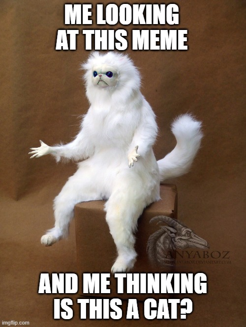 IS THIS A CAT? | ME LOOKING AT THIS MEME; AND ME THINKING IS THIS A CAT? | image tagged in memes,persian cat room guardian single | made w/ Imgflip meme maker