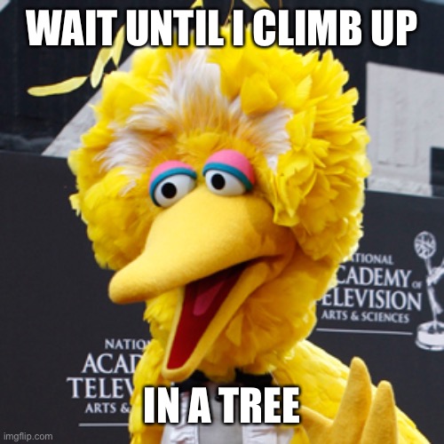 Big Bird Meme | WAIT UNTIL I CLIMB UP IN A TREE | image tagged in memes,big bird | made w/ Imgflip meme maker