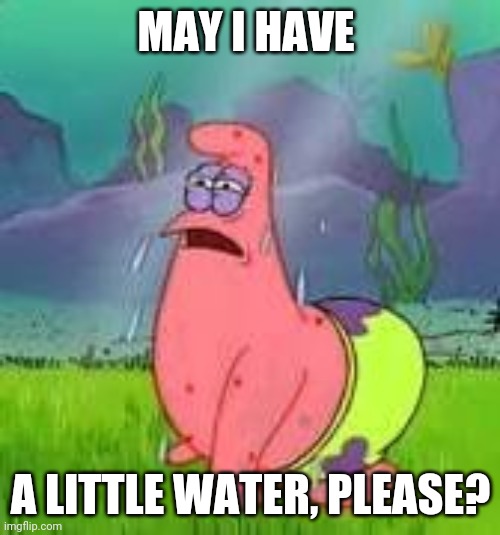 Patrick dehydrated | MAY I HAVE A LITTLE WATER, PLEASE? | image tagged in patrick dehydrated | made w/ Imgflip meme maker