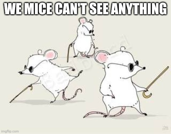 Blind mice | WE MICE CAN'T SEE ANYTHING | image tagged in blind mice | made w/ Imgflip meme maker
