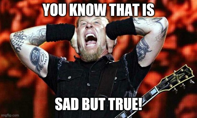 metallica | YOU KNOW THAT IS SAD BUT TRUE! | image tagged in metallica | made w/ Imgflip meme maker