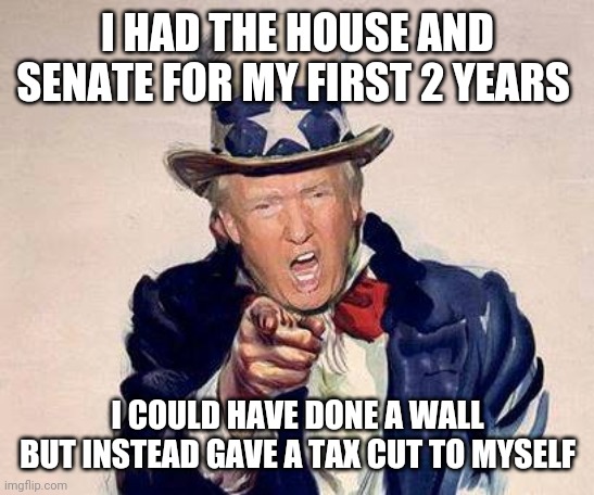 trump uncle sam | I HAD THE HOUSE AND SENATE FOR MY FIRST 2 YEARS; I COULD HAVE DONE A WALL BUT INSTEAD GAVE A TAX CUT TO MYSELF | image tagged in trump uncle sam | made w/ Imgflip meme maker