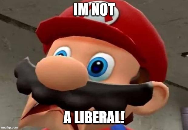 Mario WTF | IM NOT A LIBERAL! | image tagged in mario wtf | made w/ Imgflip meme maker