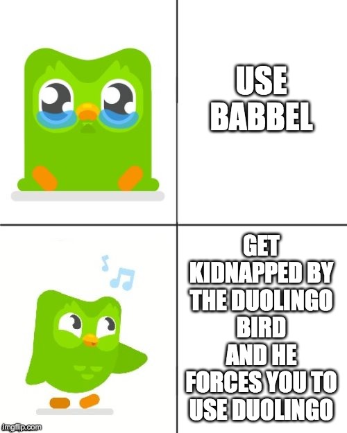 Do it..... or else |  USE BABBEL; GET KIDNAPPED BY THE DUOLINGO BIRD AND HE FORCES YOU TO USE DUOLINGO | image tagged in duolingo drake meme,duolingo bird | made w/ Imgflip meme maker