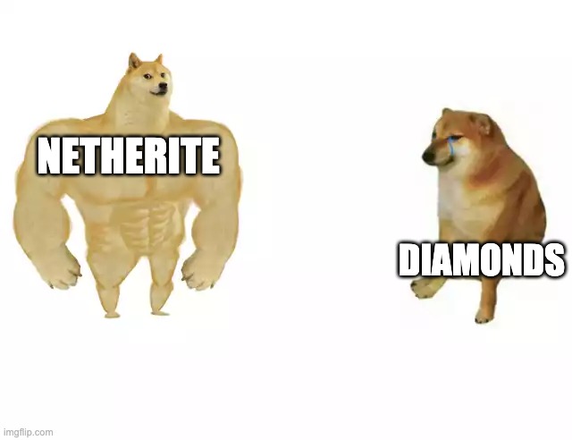long live netherite! | NETHERITE; DIAMONDS | image tagged in buff doge vs cheems | made w/ Imgflip meme maker