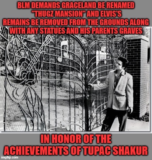 whats next | BLM DEMANDS GRACELAND BE RENAMED  "THUGZ MANSION" AND ELVIS'S REMAINS BE REMOVED FROM THE GROUNDS ALONG WITH ANY STATUES AND HIS PARENTS GRAVES; IN HONOR OF THE ACHIEVEMENTS OF TUPAC SHAKUR | image tagged in democrats,blm,progressives,2020 elections | made w/ Imgflip meme maker