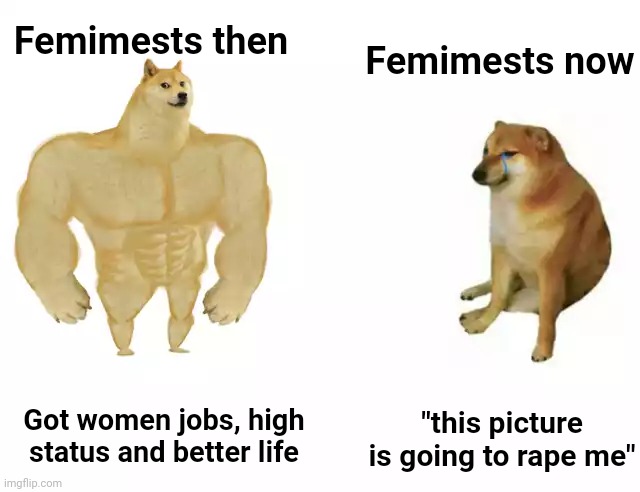 Buff Doge vs. Cheems Meme | Femimests then; Femimests now; "this picture is going to rape me"; Got women jobs, high status and better life | image tagged in buff doge vs cheems | made w/ Imgflip meme maker