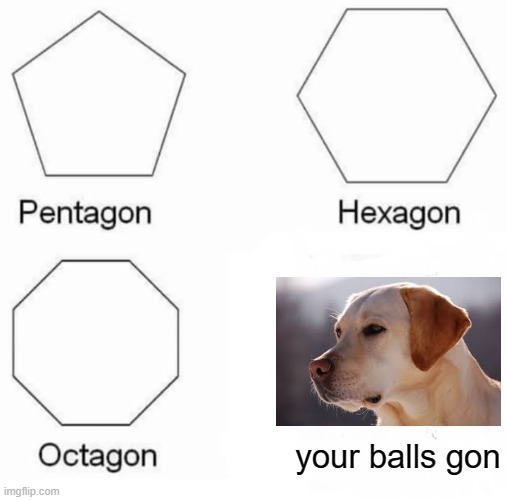 Pentagon Hexagon Octagon Meme | your balls gon | image tagged in memes,pentagon hexagon octagon,dogs,shapes,dog,stupid | made w/ Imgflip meme maker
