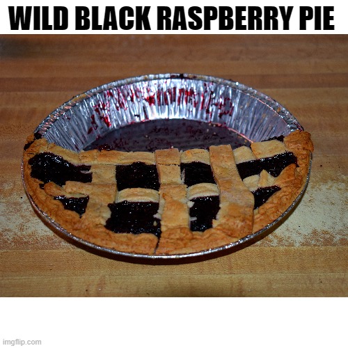 i picked em and mama made it for me.an early summer treat | WILD BLACK RASPBERRY PIE | image tagged in raspberry,pie | made w/ Imgflip meme maker