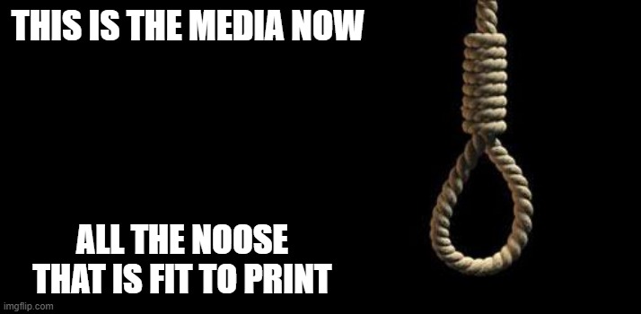 You're Being Manipulated | THIS IS THE MEDIA NOW; ALL THE NOOSE THAT IS FIT TO PRINT | image tagged in noose | made w/ Imgflip meme maker