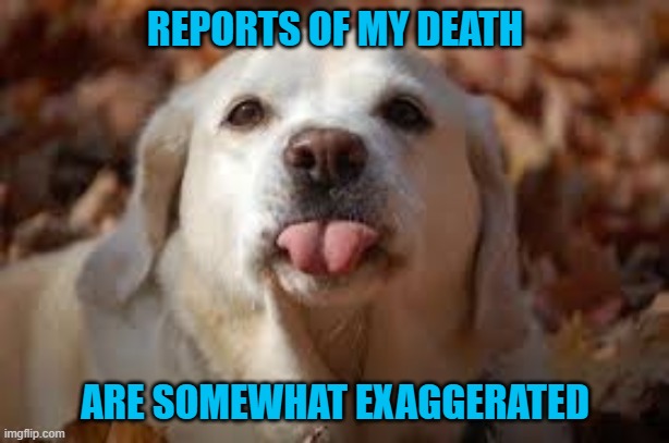 REPORTS OF MY DEATH ARE SOMEWHAT EXAGGERATED | made w/ Imgflip meme maker