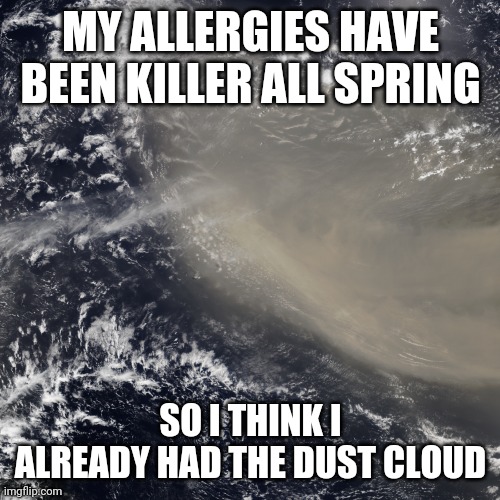 Derivative, yes, but never miss an opportunity to remind Karen that, no, she hasn't had Covid | MY ALLERGIES HAVE BEEN KILLER ALL SPRING; SO I THINK I ALREADY HAD THE DUST CLOUD | image tagged in storm,disaster,news | made w/ Imgflip meme maker
