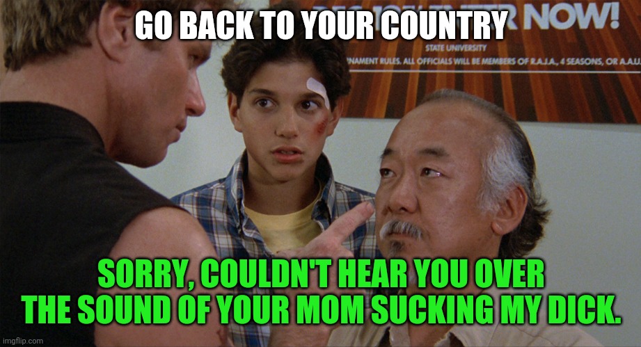 Meryl Martial Arts | GO BACK TO YOUR COUNTRY; SORRY, COULDN'T HEAR YOU OVER THE SOUND OF YOUR MOM SUCKING MY DICK. | image tagged in meryl martial arts,mr miyagi | made w/ Imgflip meme maker