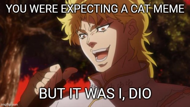 Mwahahhaha | YOU WERE EXPECTING A CAT MEME; BUT IT WAS I, DIO | image tagged in but it was me dio | made w/ Imgflip meme maker