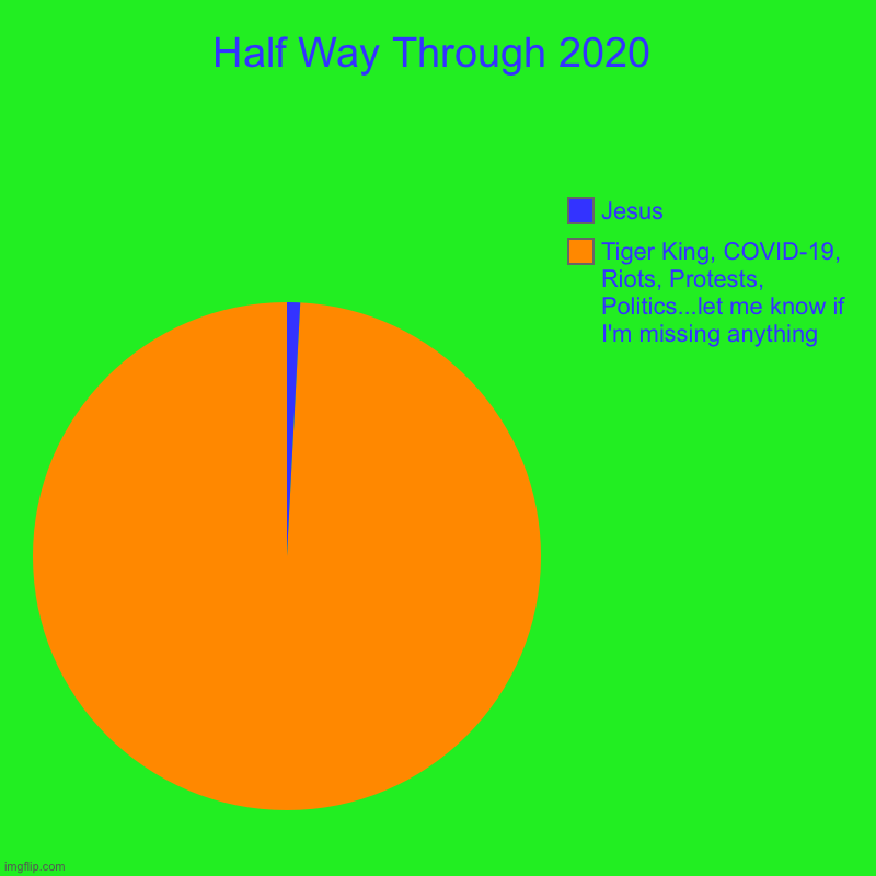 Halfway Through 2020 | Half Way Through 2020 | Tiger King, COVID-19, Riots, Protests, Politics...let me know if I'm missing anything, Jesus | image tagged in charts,pie charts,jesus,tiger king,politics | made w/ Imgflip chart maker