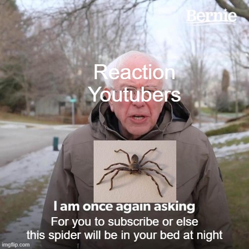 Bernie I Am Once Again Asking For Your Support Meme | Reaction Youtubers; For you to subscribe or else this spider will be in your bed at night | image tagged in memes,bernie i am once again asking for your support | made w/ Imgflip meme maker
