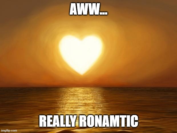 Love | AWW... REALLY RONAMTIC | image tagged in love | made w/ Imgflip meme maker