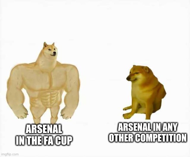 Strong dog vs weak dog | ARSENAL IN ANY OTHER COMPETITION; ARSENAL IN THE FA CUP | image tagged in strong dog vs weak dog | made w/ Imgflip meme maker