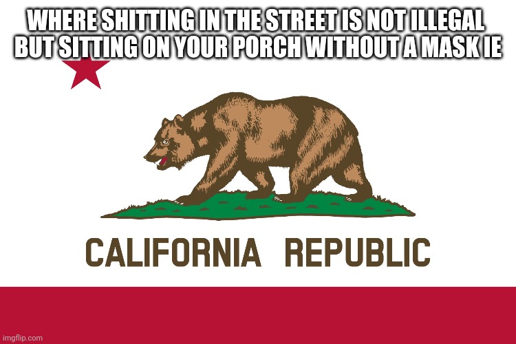 California Flag | WHERE SHITTING IN THE STREET IS NOT ILLEGAL 
BUT SITTING ON YOUR PORCH WITHOUT A MASK IE | image tagged in california flag | made w/ Imgflip meme maker