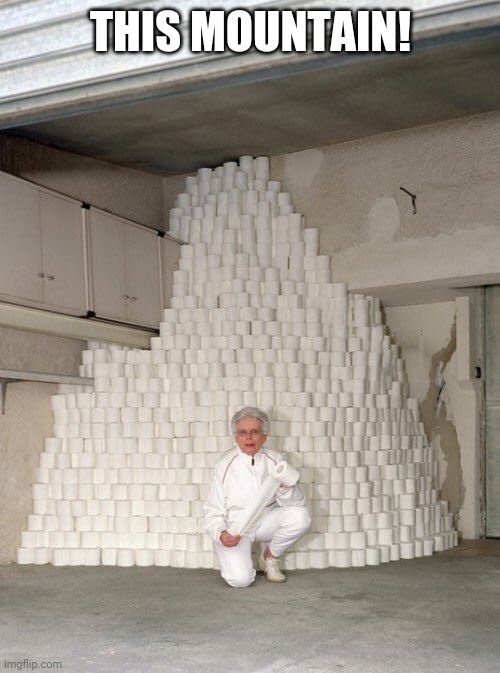 mountain of toilet paper | THIS MOUNTAIN! | image tagged in mountain of toilet paper | made w/ Imgflip meme maker