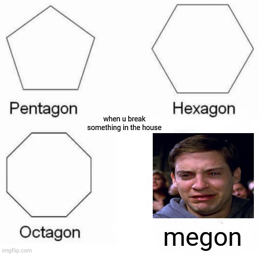 this doesnt make any sen... wait it does | when u break something in the house; megon | image tagged in memes,pentagon hexagon octagon | made w/ Imgflip meme maker