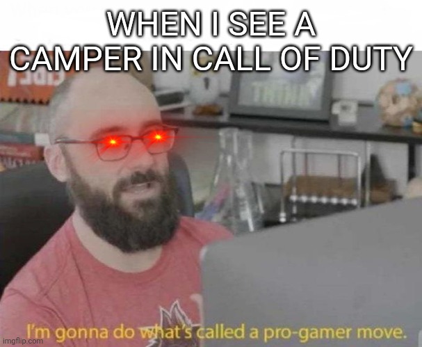 Karma | WHEN I SEE A CAMPER IN CALL OF DUTY | image tagged in pro gamer move | made w/ Imgflip meme maker