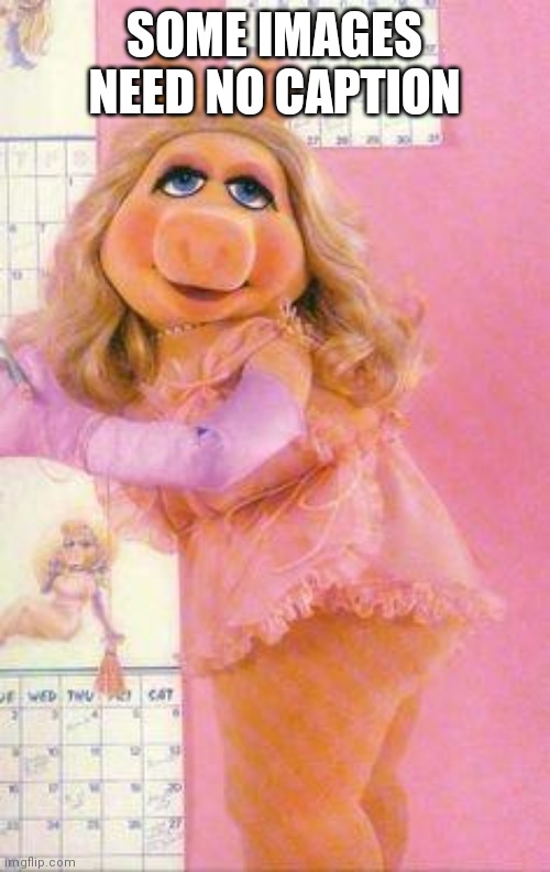 Miss Piggy | SOME IMAGES NEED NO CAPTION | image tagged in miss piggy | made w/ Imgflip meme maker