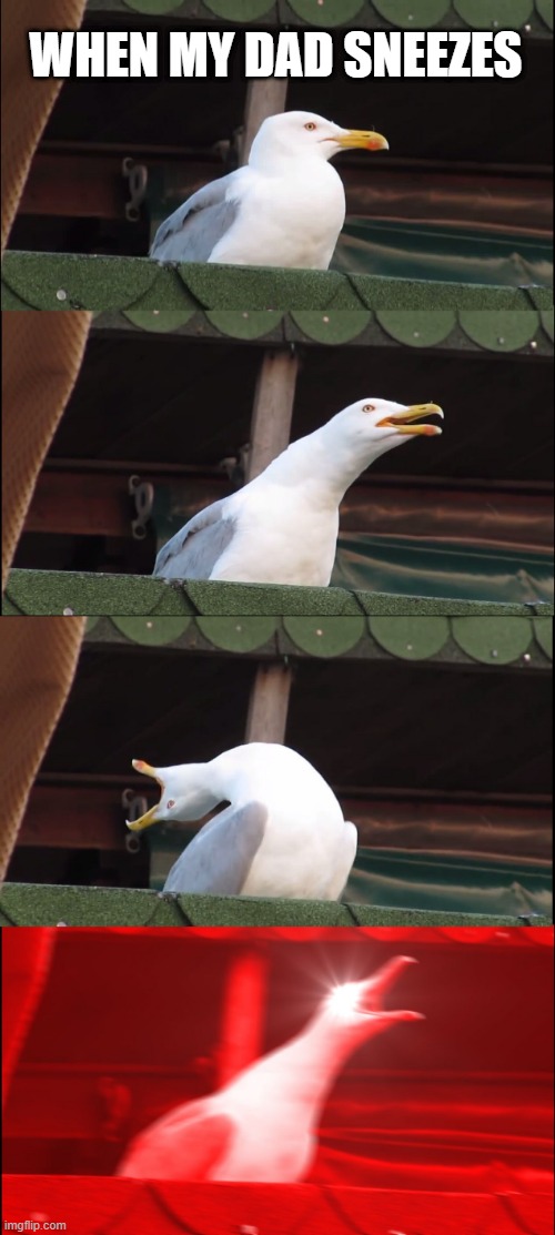 Inhaling Seagull | WHEN MY DAD SNEEZES | image tagged in memes,inhaling seagull | made w/ Imgflip meme maker
