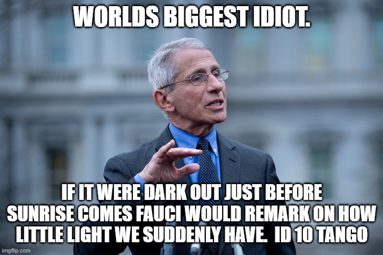 ID 10 Tango | WORLDS BIGGEST IDIOT. IF IT WERE DARK OUT JUST BEFORE SUNRISE COMES FAUCI WOULD REMARK ON HOW LITTLE LIGHT WE SUDDENLY HAVE.  ID 10 TANGO | image tagged in fauci | made w/ Imgflip meme maker