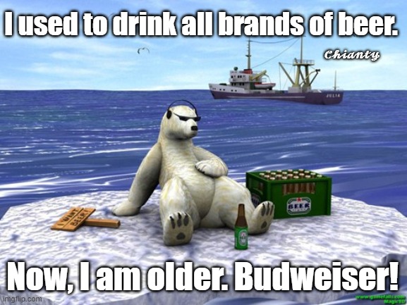 All Brands | I used to drink all brands of beer. 𝓒𝓱𝓲𝓪𝓷𝓽𝔂; Now, I am older. Budweiser! | image tagged in older | made w/ Imgflip meme maker